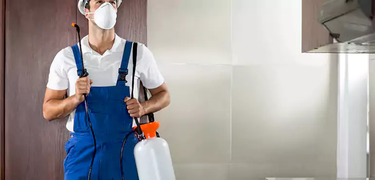 Why Corona Homeowners Choose Us When Pests Make Selling Difficult